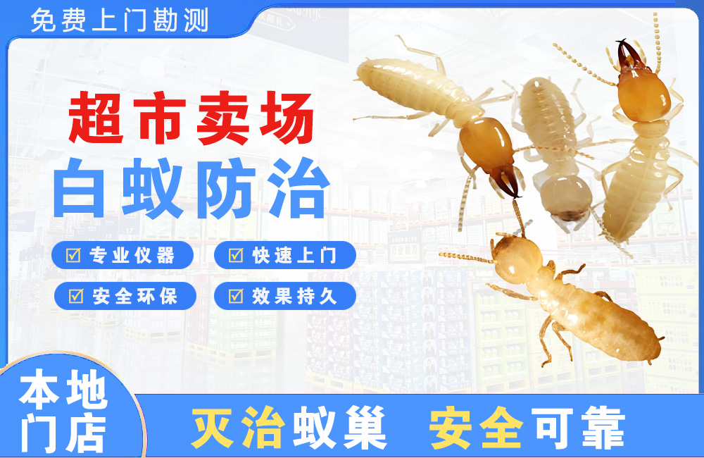 连云港超市卖场白蚁防治