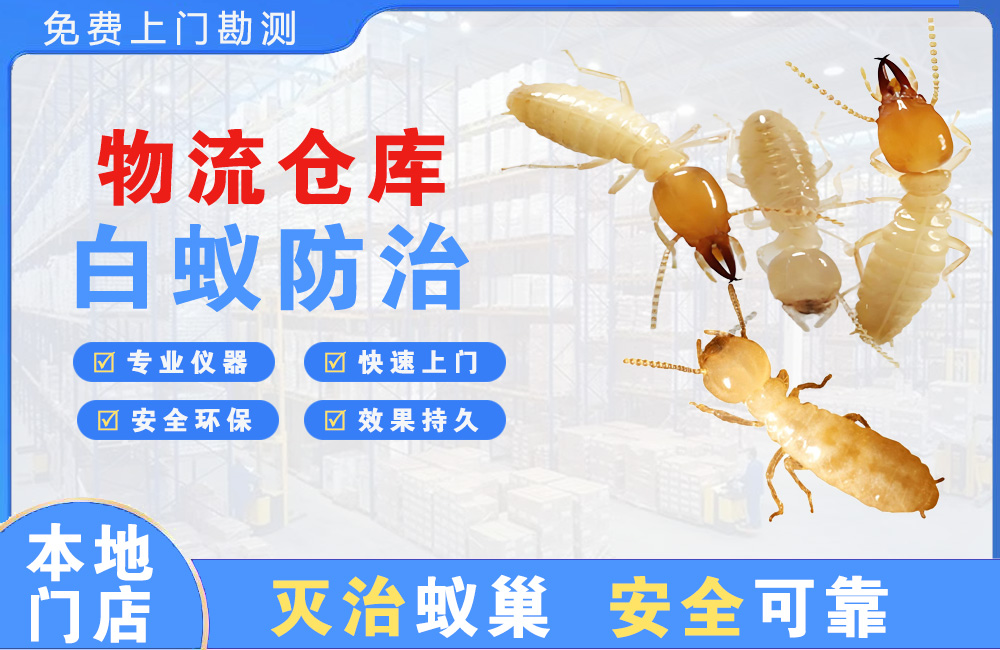 连云港物流仓库白蚁防治