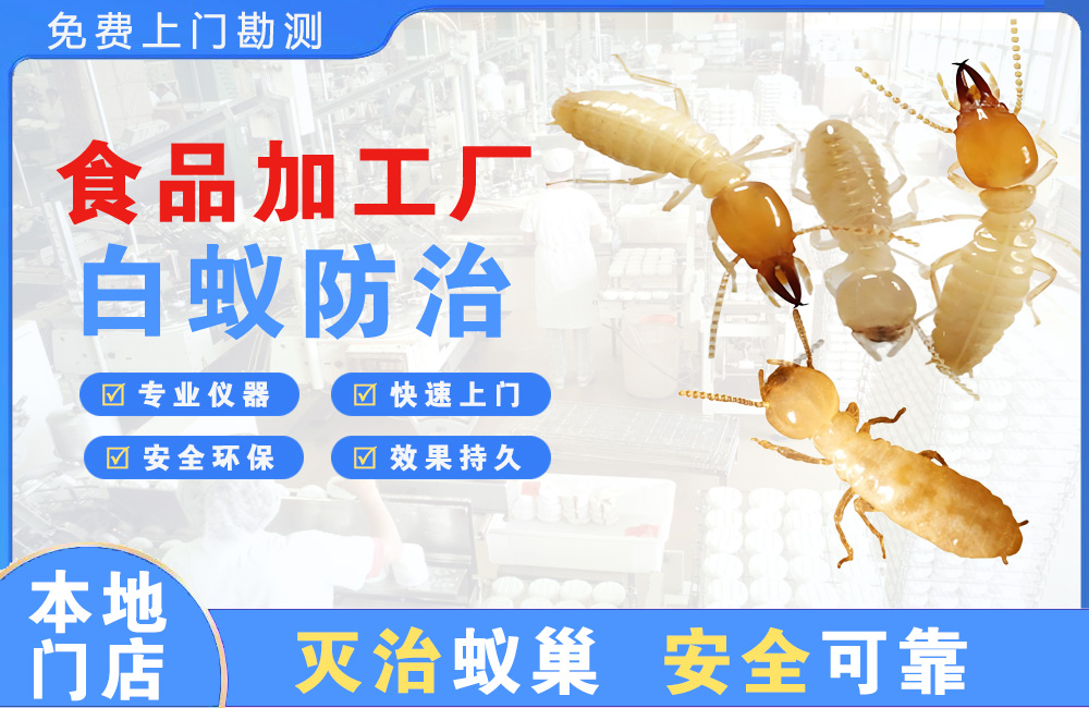 连云港食品加工厂白蚁防治