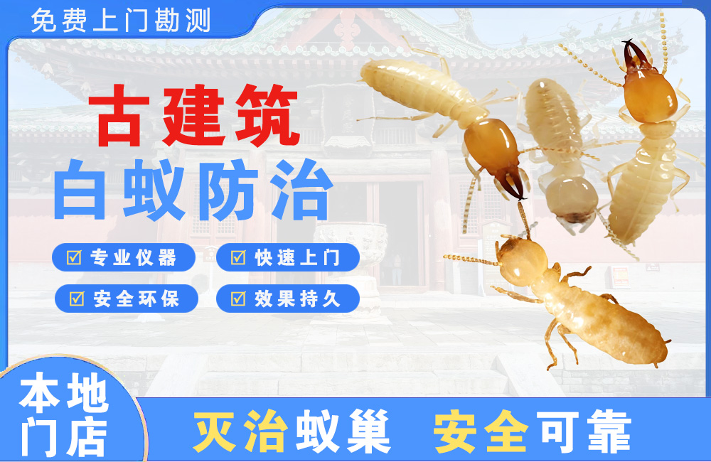 连云港古建筑白蚁防治