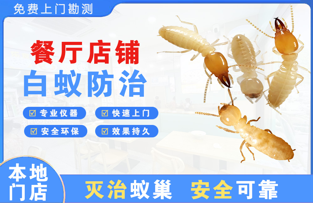 连云港餐厅店铺白蚁防治